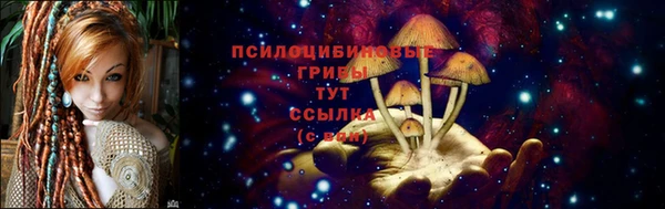 тгк Михайлов