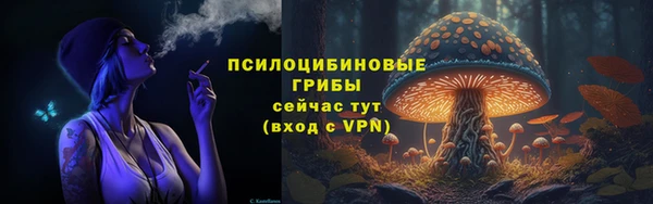 прущие крисы Михайловск