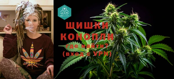 тгк Михайлов