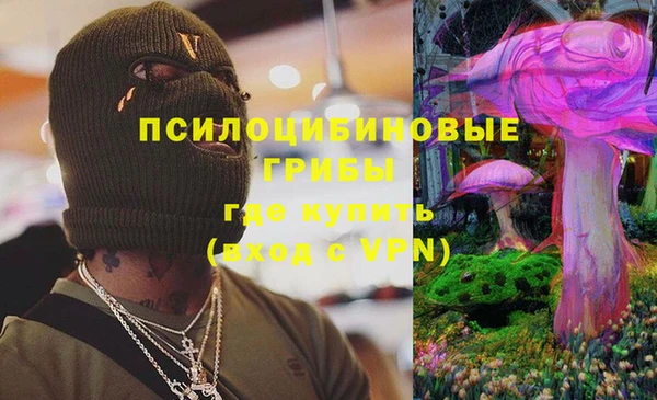 тгк Михайлов