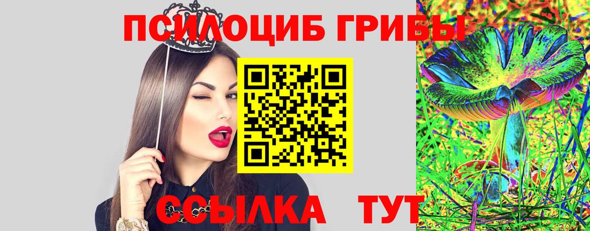 Псилоцибиновые грибы Psilocybe Чита