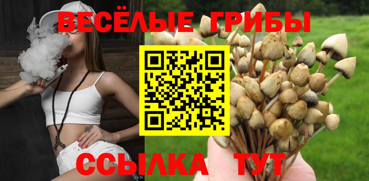 Псилоцибиновые грибы Psilocybe Чита